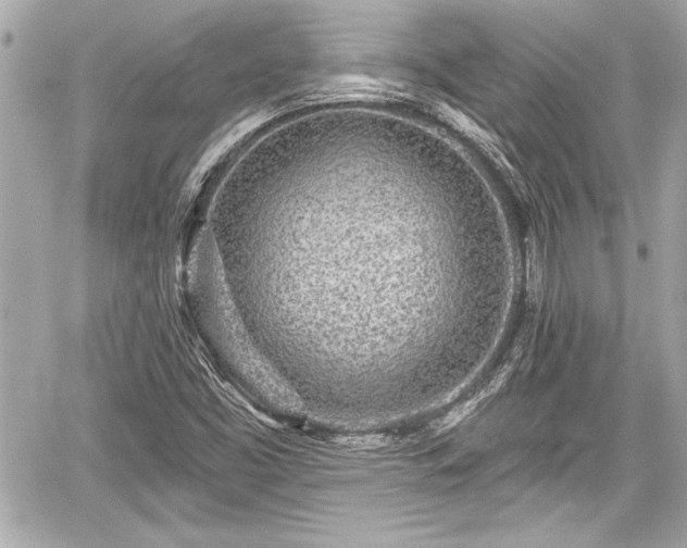 X0000059101453200510101206