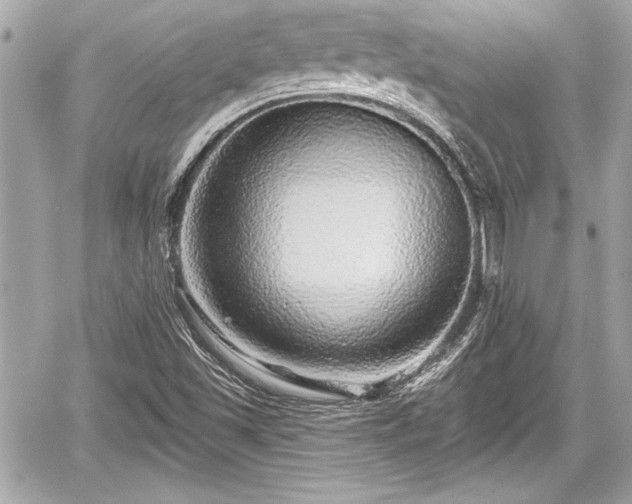 X0000059101501200510101205