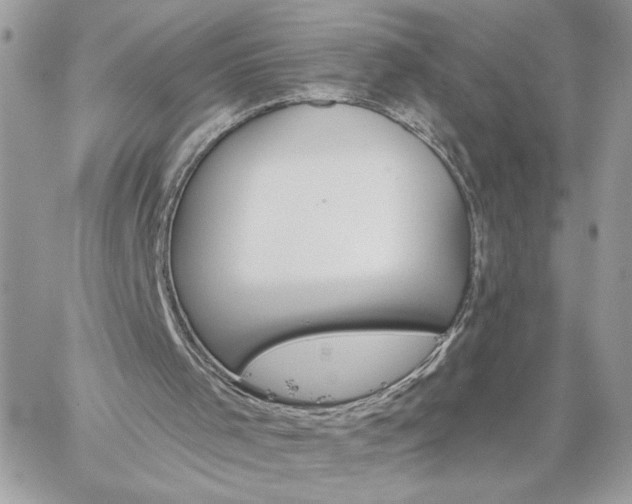 X0000059100001200510172132