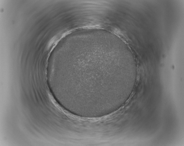 X0000059100002200510172132