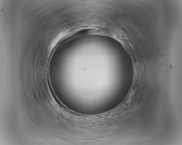 X0000059100003200510172131