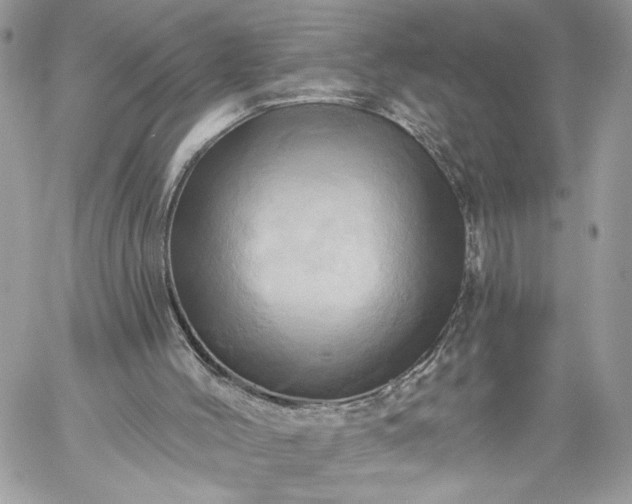 X0000059100004200510172131