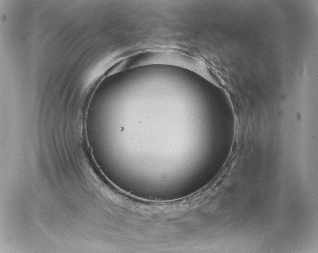 X0000059100005200510172131