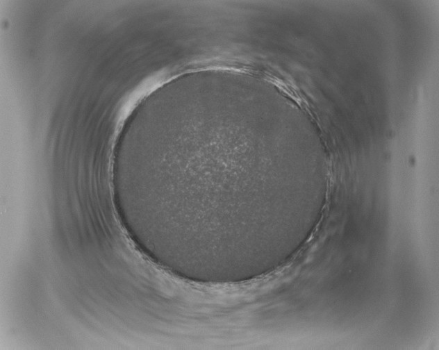 X0000059100006200510172131