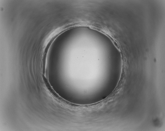 X0000059100007200510172131