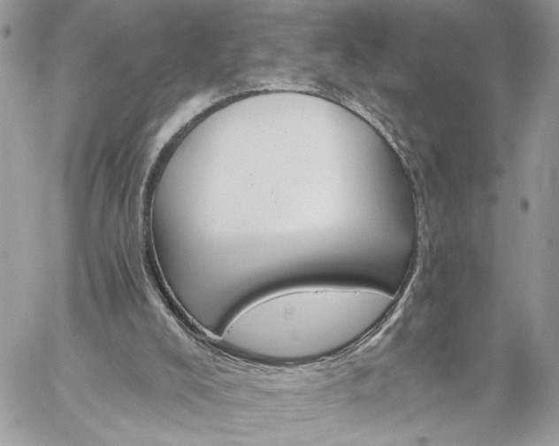 X0000059100008200510172131