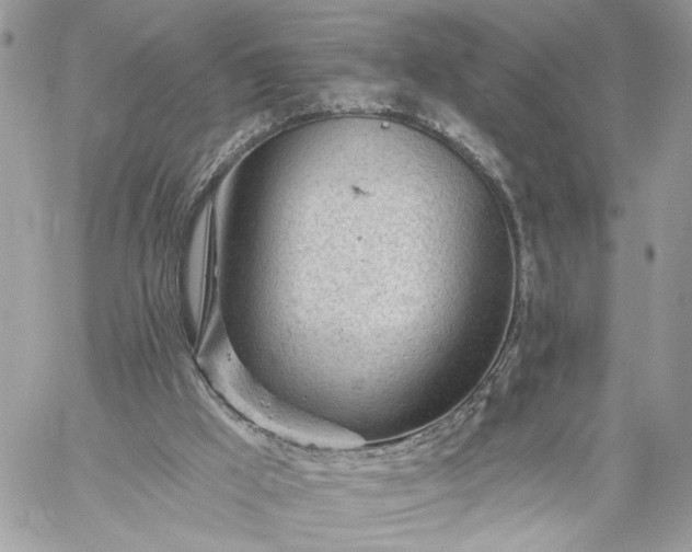 X0000059100009200510172131