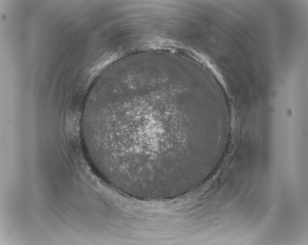 X0000059100010200510172131