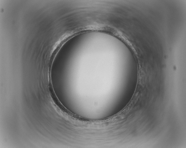 X0000059100011200510172131