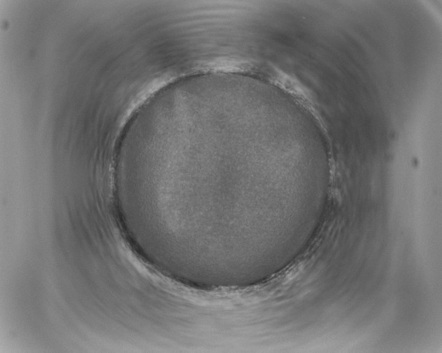 X0000059100012200510172131