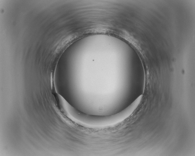 X0000059100013200510172131