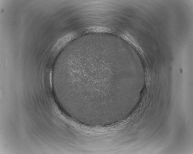 X0000059100014200510172131