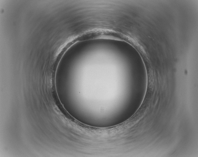 X0000059100015200510172131