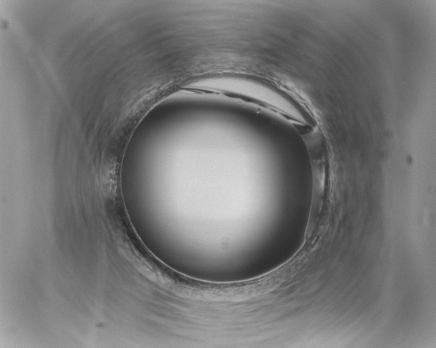 X0000059100017200510172131