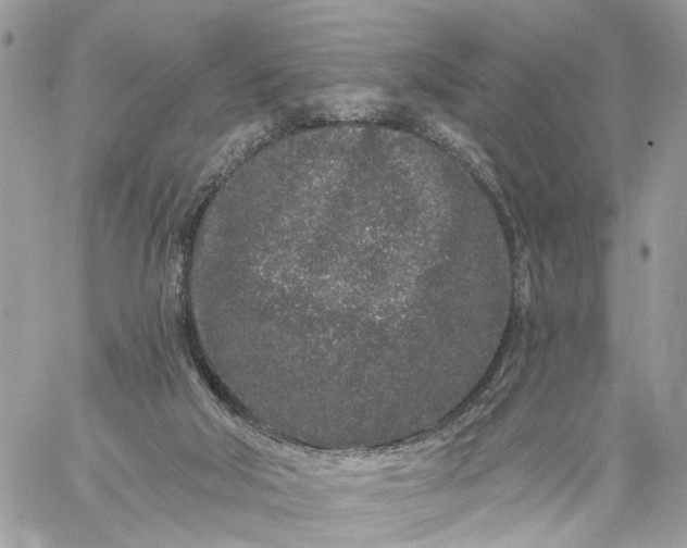 X0000059100018200510172131