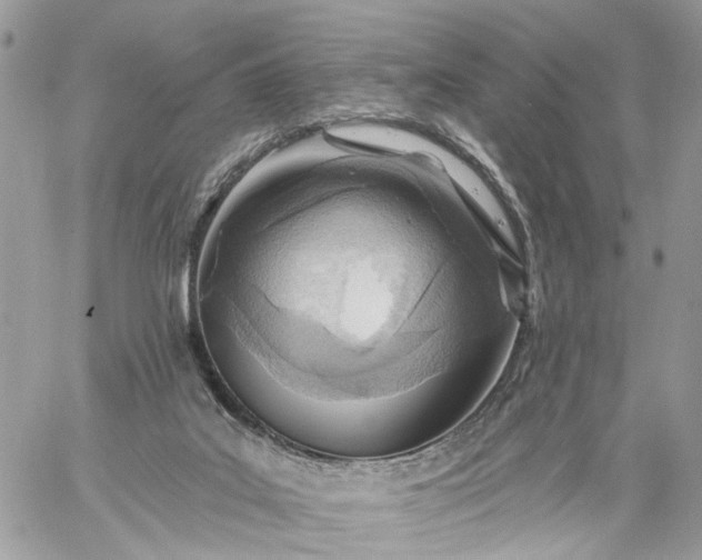 X0000059100019200510172131