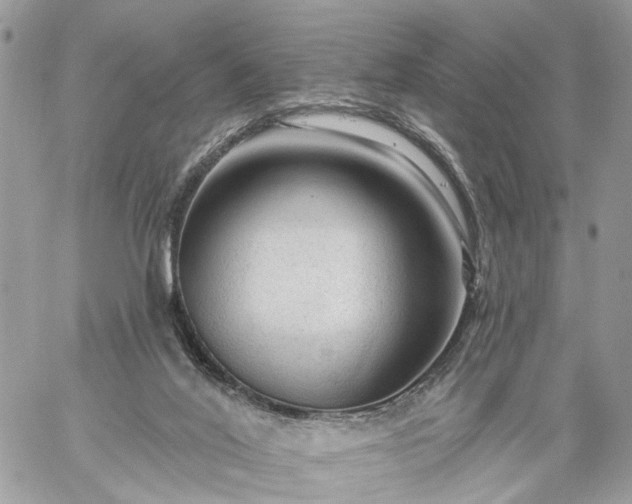 X0000059100020200510172131