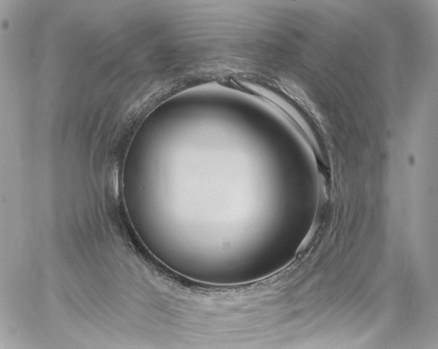 X0000059100021200510172131