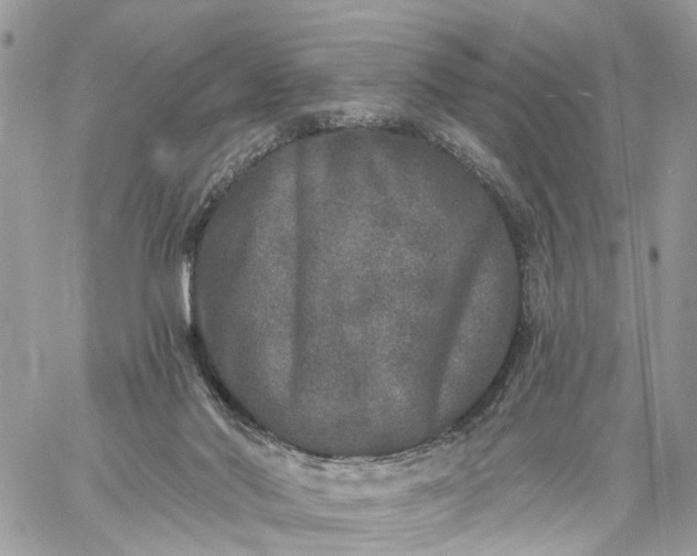 X0000059100022200510172131