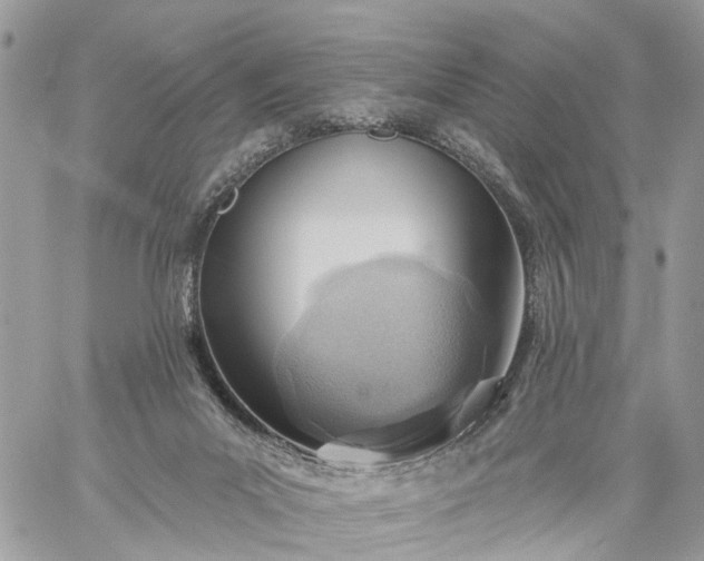 X0000059100023200510172131