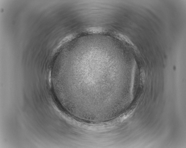 X0000059100024200510172131