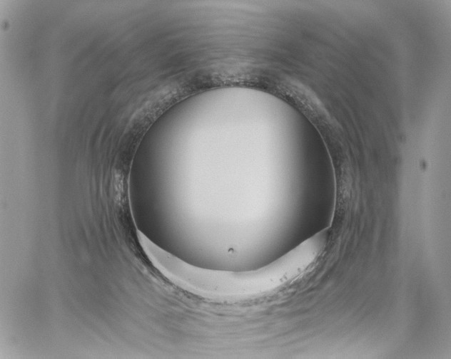 X0000059100025200510172131