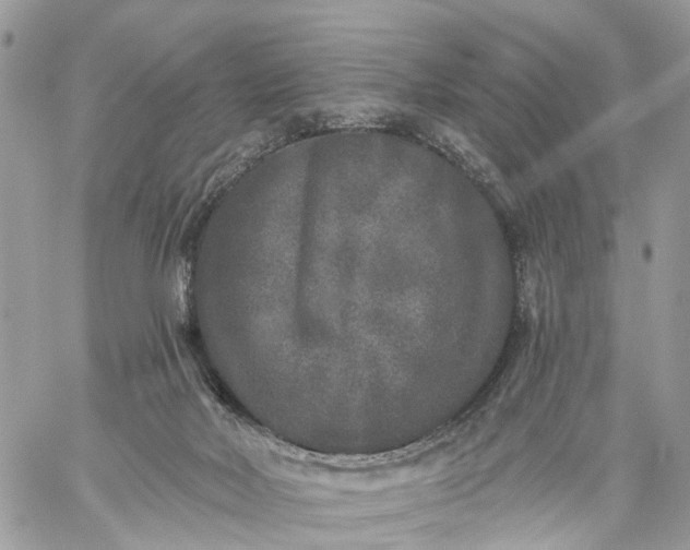 X0000059100026200510172131