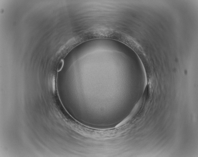 X0000059100027200510172131