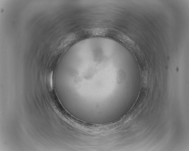 X0000059100028200510172131