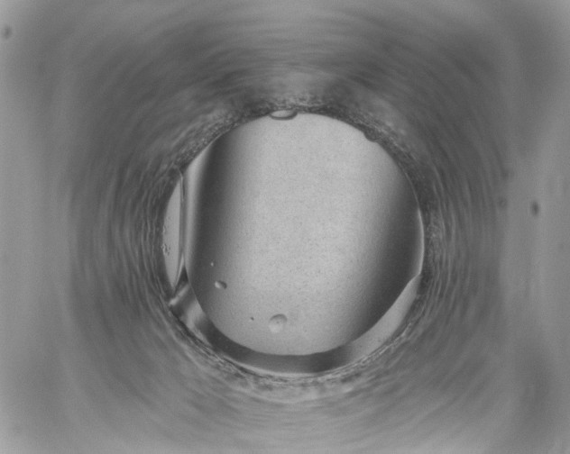 X0000059100029200510172131