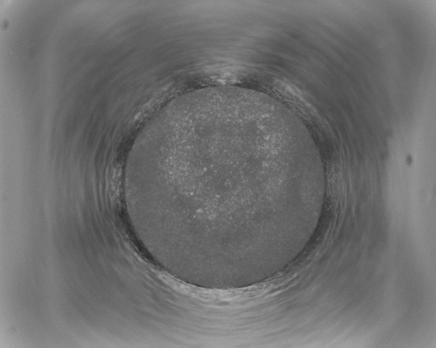 X0000059100030200510172131