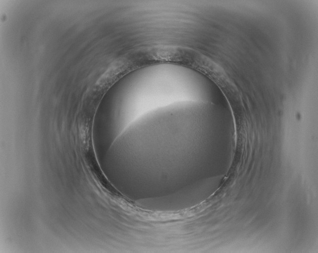 X0000059100031200510172131