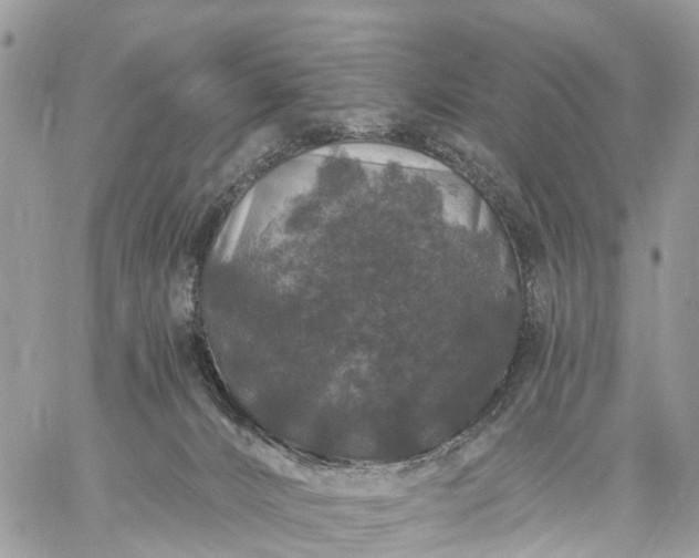 X0000059100032200510172131