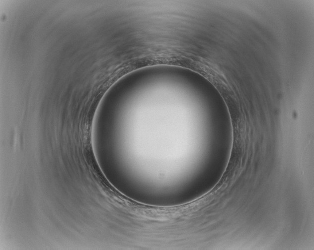 X0000059100033200510172131