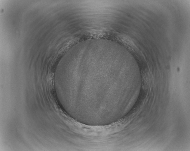 X0000059100034200510172131