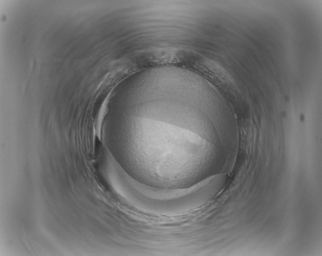 X0000059100035200510172131