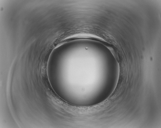 X0000059100037200510172131