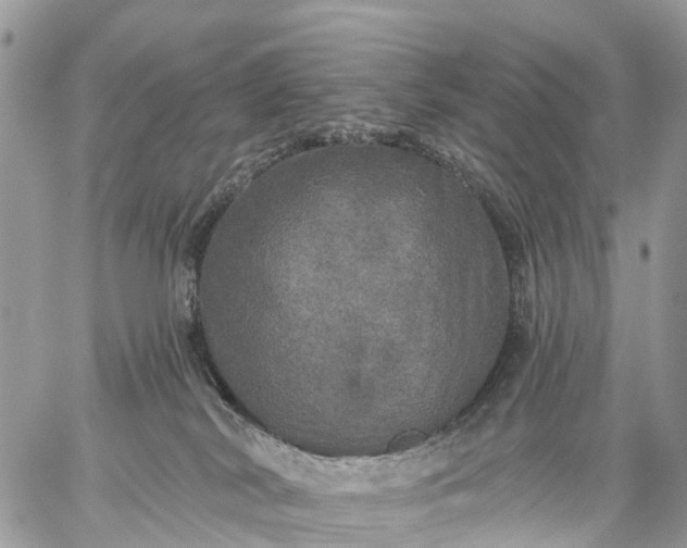 X0000059100038200510172131