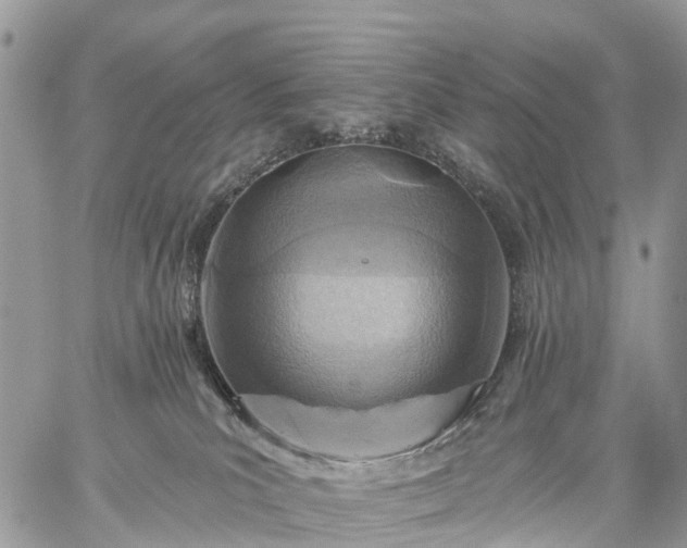 X0000059100039200510172131