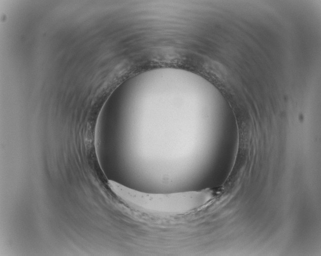 X0000059100040200510172131