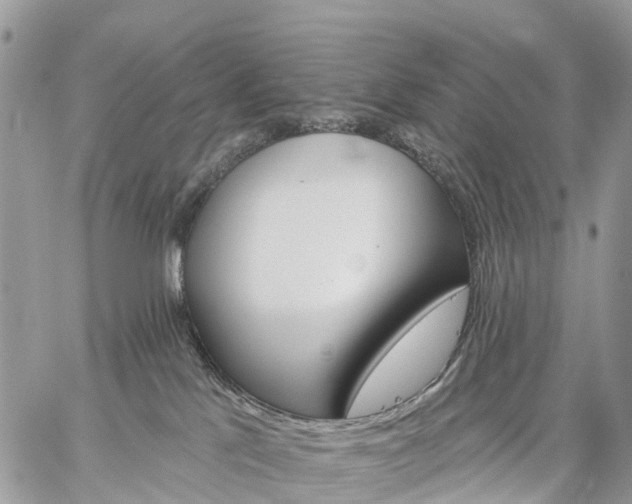 X0000059100041200510172131