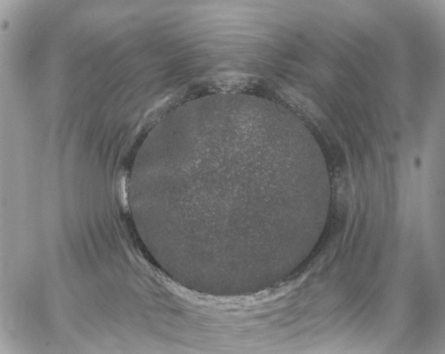 X0000059100042200510172131