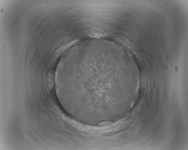 X0000059100043200510172131