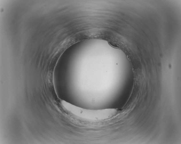 X0000059100044200510172131