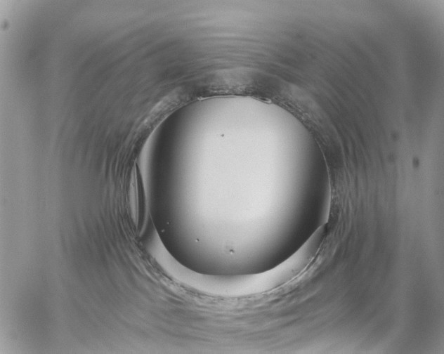 X0000059100045200510172131