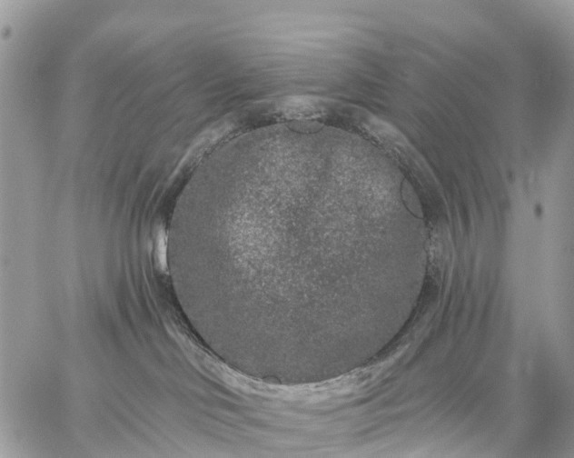 X0000059100046200510172131