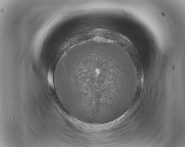 X0000059100047200510172131