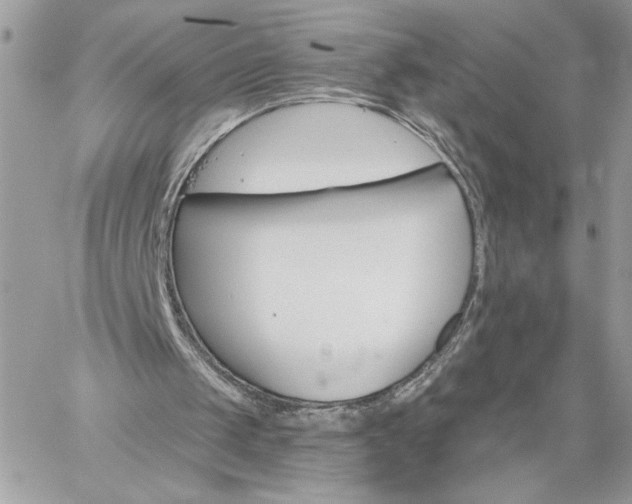 X0000059100049200510172130