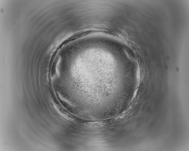 X0000059100050200510172130