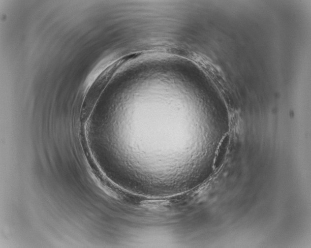 X0000059100051200510172130